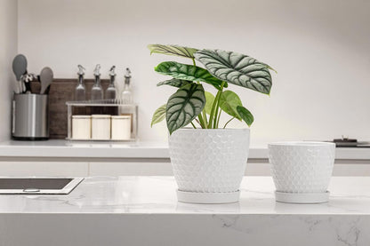 Docrin 3-Pack Ceramic Planters Set - 6.5"+5.3"+4" Dual-Tone Flower Pots with Drainage Holes, Modern Indoor Outdoor Planters for Succulents/Herbs/Large Plants, Home Office (Brownish Black & White)