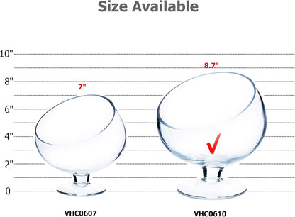 WGVI Clear Slant Cut Bowl Glass Vase, Glass Terrarium, Candy Dish, Glassware, Slant Open: 7". Height: 6" x 2.7". Base: 4" (1 Piece)