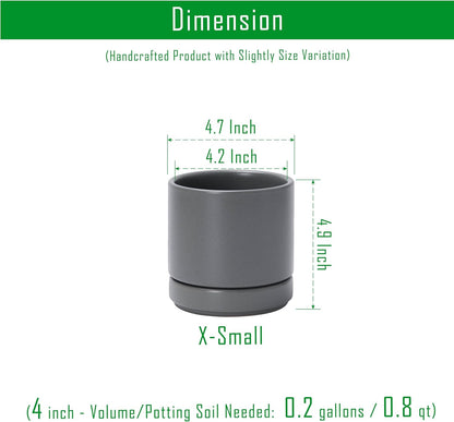 D'vine Dev Set of 2 Plants Pots, 6.5 Inch Ceramic Planter Pot for Plants with Drainage Hole and Saucer, White, 94-V-C-1