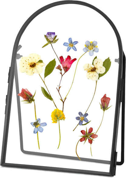REDHUGO Double Glass Frame for Pressed Flowers Handmade, Metal Floating Picture Frame for Pressed Flower, Tabletop Display, Brass, ArcShaped, Black, 4x6 inches (FRAME ONLY)