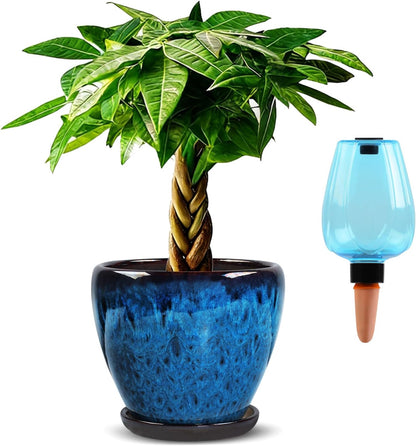 Ceramic Plant Pots with Saucer, 6 inch Glaze Planters for Indoor Plants with Drainage Holes, Decorative Small Flower Pots Outdoor, Modern Succulent Pots for Home Room Decor