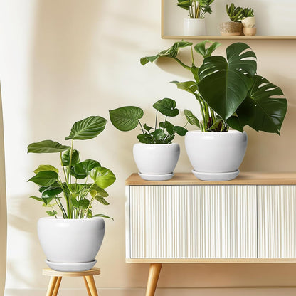 Ceramic Modern Glaze Succulent Planter Pot with Drainage Hole and Saucer 6 Inch Round Flower Plant Pot for Indoor Outdoor Herb Snake Plants