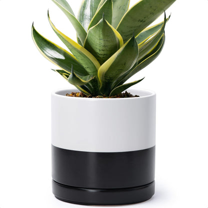 D'vine Dev 6.5 Inch Ceramic Planter Pot with Drainage Hole and Saucer, Indoor Cylinder Round Planter Pot, Olive, 94-O-C-J