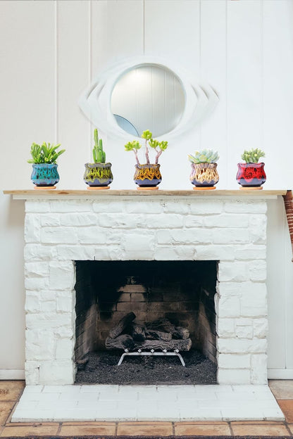 Cute Ceramic Succulent Garden Pots, Planter with Drainage and Attached Saucer, Set of 5 -Plants Not Included (Round)