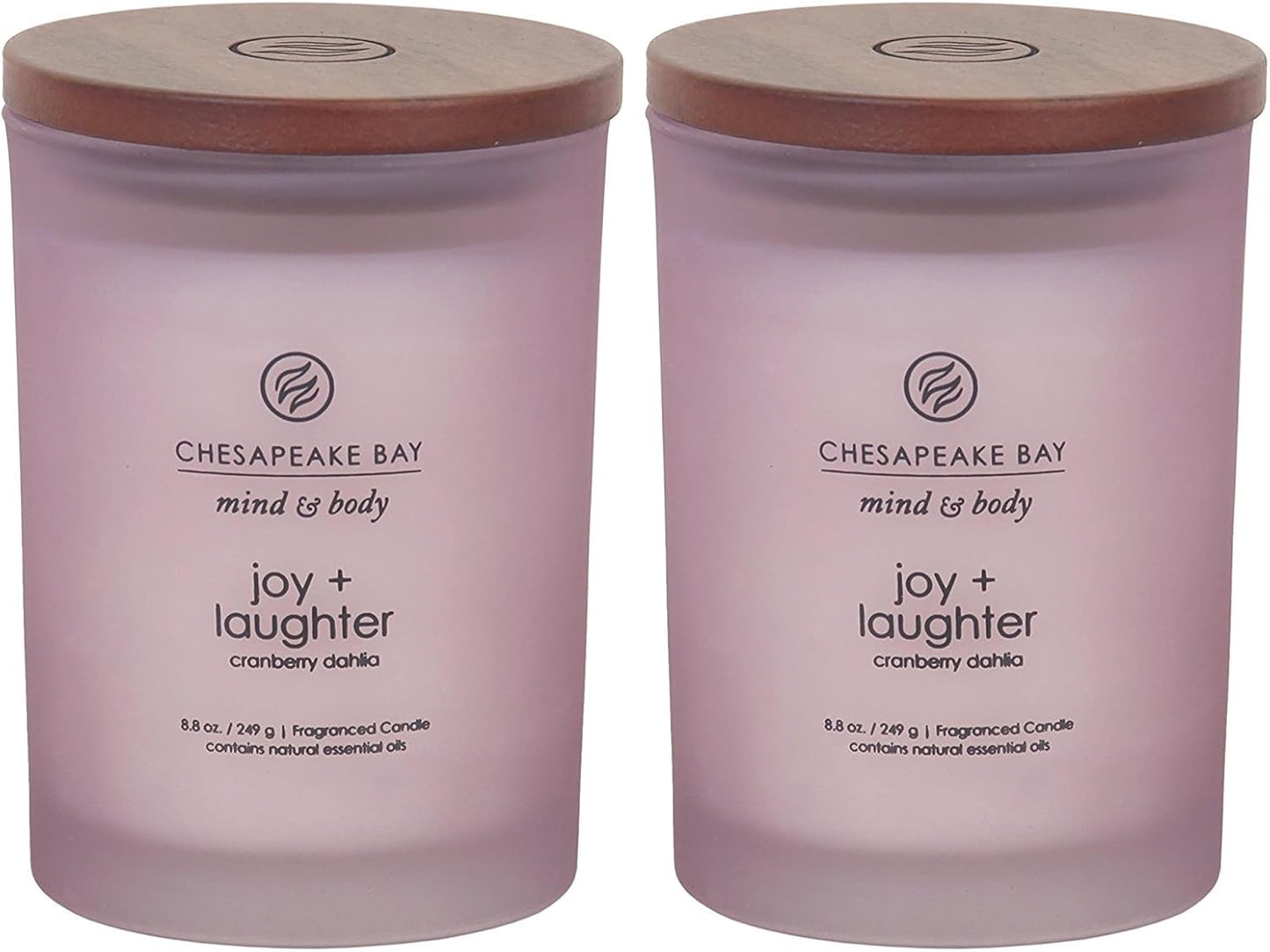 Chesapeake Bay Candle PT40886 Scented Candle Awaken + Invigorate (Lemongrass Eucalyptus) Medium Green Home Décor
