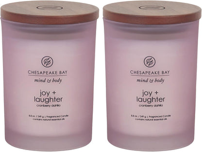 Chesapeake Bay Candle PT40886 Scented Candle Awaken + Invigorate (Lemongrass Eucalyptus) Medium Green Home Décor