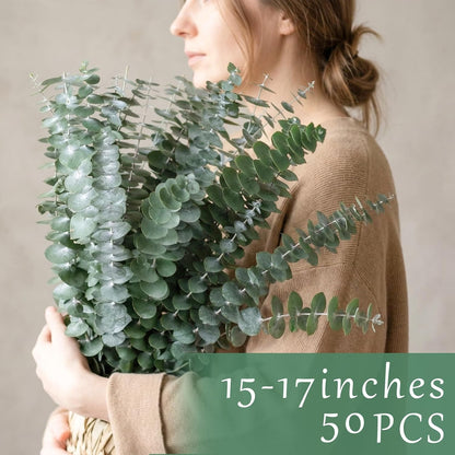 50 Pcs Preserved Eucalyptus Stems, 17 Inch Real Dried Eucalyptus Branches for Shower, Vase Arrangements, Home Decor, Wedding, Bathroom