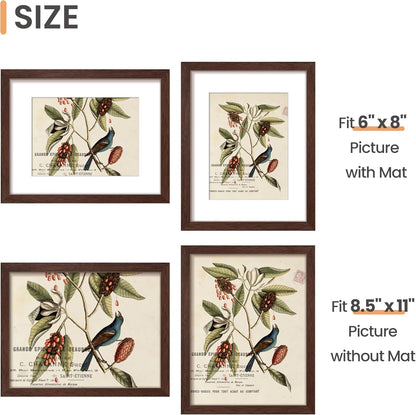 upsimples 8x10 Picture Frame, Display Pictures 5x7 with Mat or 8x10 Without Mat, Wall Hanging Photo Frame, Black, 1 Pack - Colors B