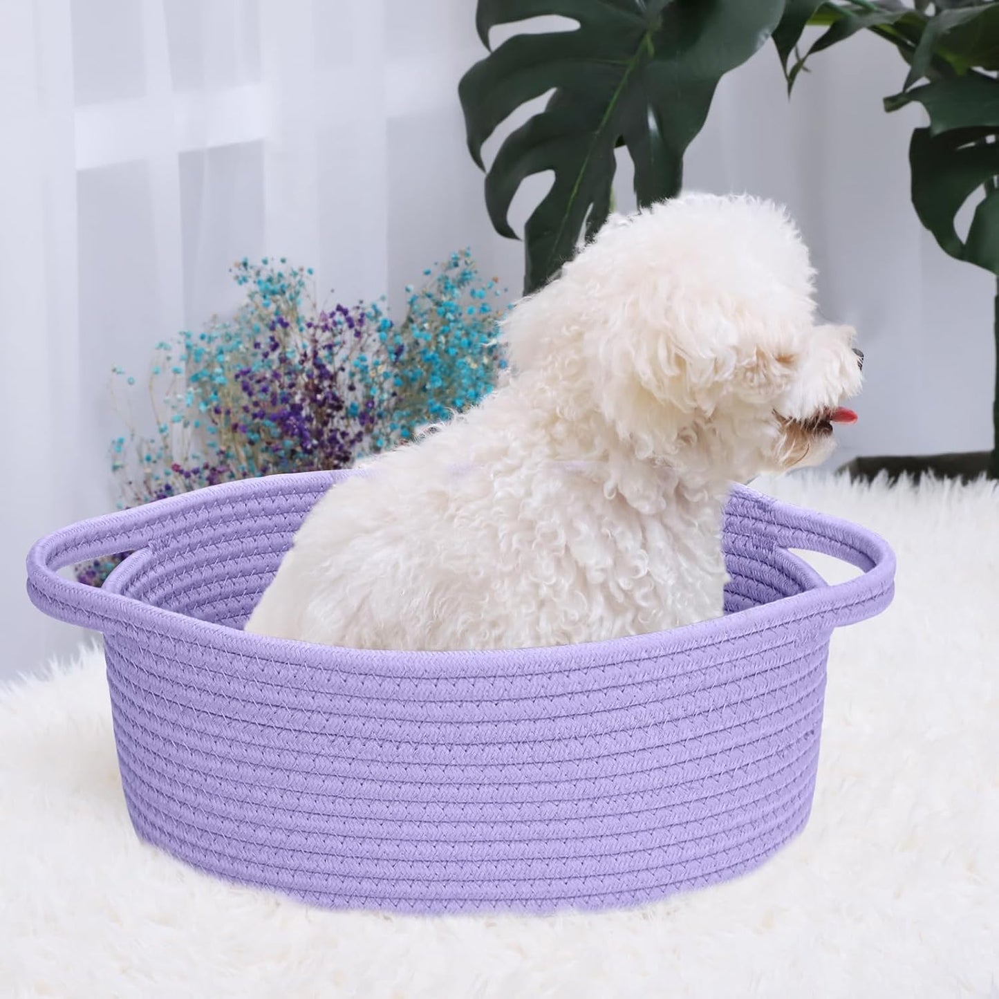 ABenkle Small Basket with Handles, Boho Decorative Rope Woven Dog Cat Toy Storage Bin Shelf Storage Organizer, Easter Christmas Gift Basket, 12"x8"x5", White