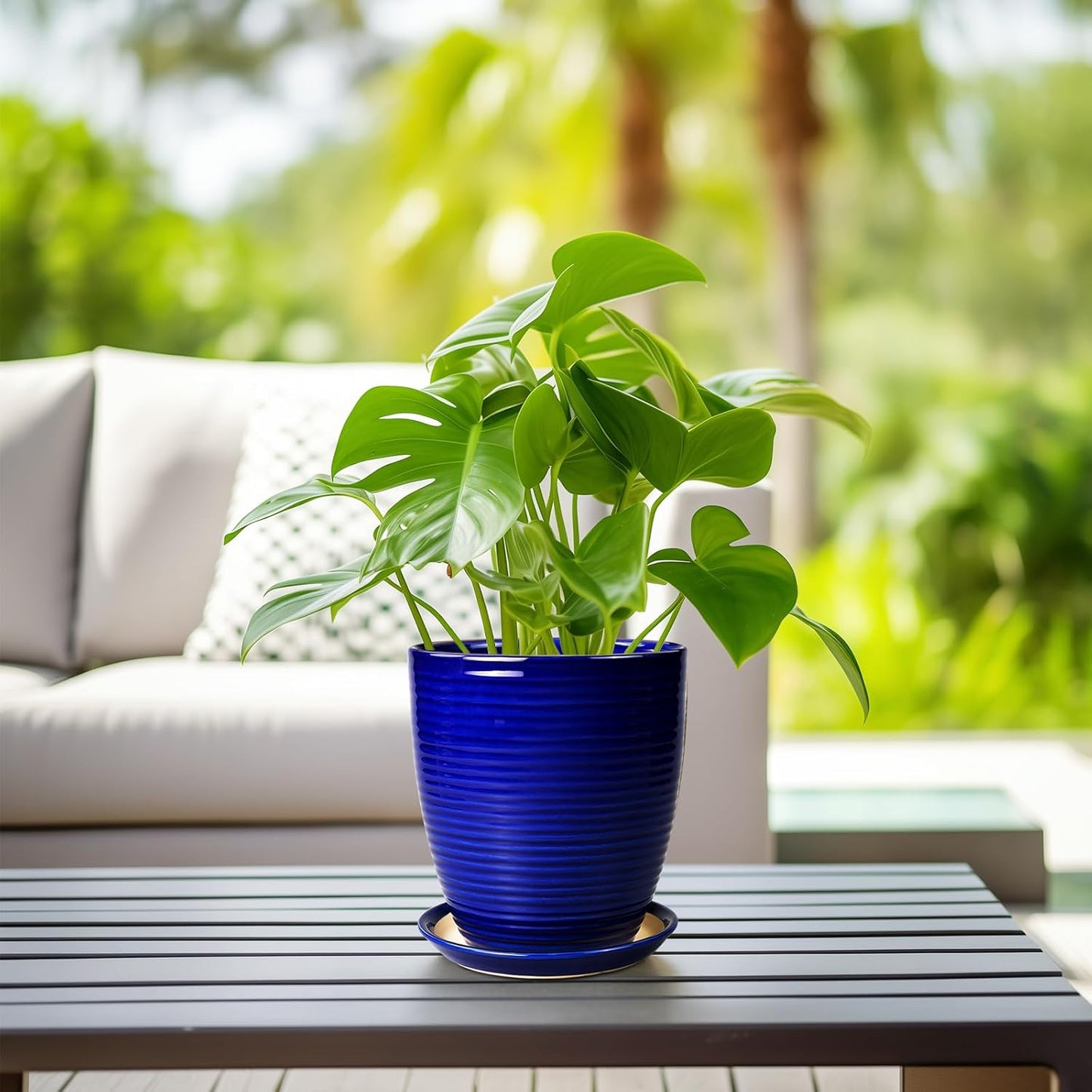 Ceramic Pots for Plants - 6 Inch Plant Pot with Drainage Hole and Saucer, Round Planters for Indoor Outdoor, Flower Pots, Modern Planter, Home Office Room Decor, Gifts for Plant Lovers, White