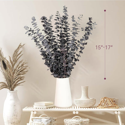 Tavkite 16 Pcs Dried Eucalyptus Stems, 17'' Natural Fresh Eucalyptus Leaves Branches Hanging for Shower, Preserved Real Plant Live Greenery for Home SPA Wall Bathroom Wedding Party Vase Decor