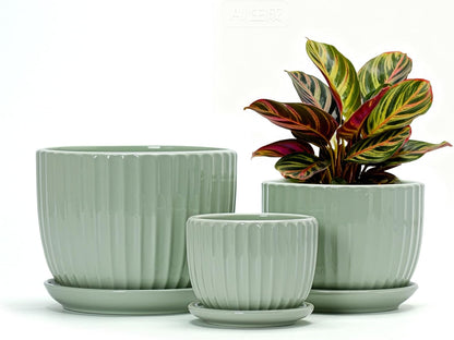 Ton Sin Pink Gold Ceramic Flower Pots, 4"+5"+6" Inch Small Glazed Succulent Planters with Drainage Hole,Modern Indoor Decorative Plant Pots Set of 3,Garden Pots with Saucer