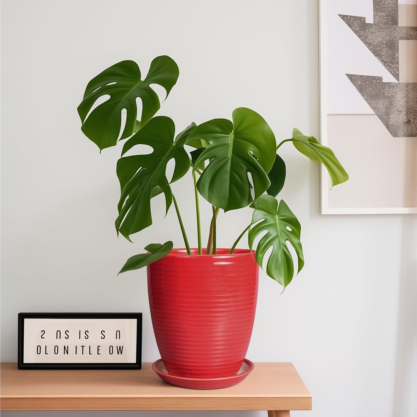 Ceramic Pots for Plants - 6 Inch Plant Pot with Drainage Hole and Saucer, Round Planters for Indoor Outdoor, Flower Pots, Modern Planter, Home Office Room Decor, Gifts for Plant Lovers, White