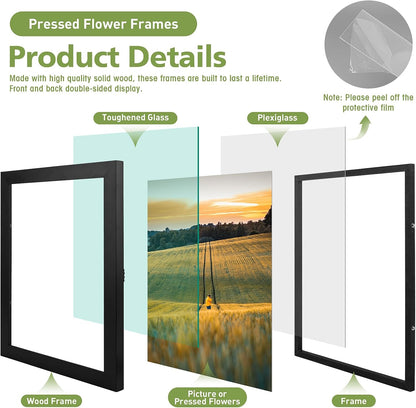 Golden State Art, 11X14 Floating Picture Frame, Black Wood Frame Display Any Size Photo Up To 11X14, Pressed Flower Frames with Hanging Hardware - Horizontal And Vertical Formats for Wall