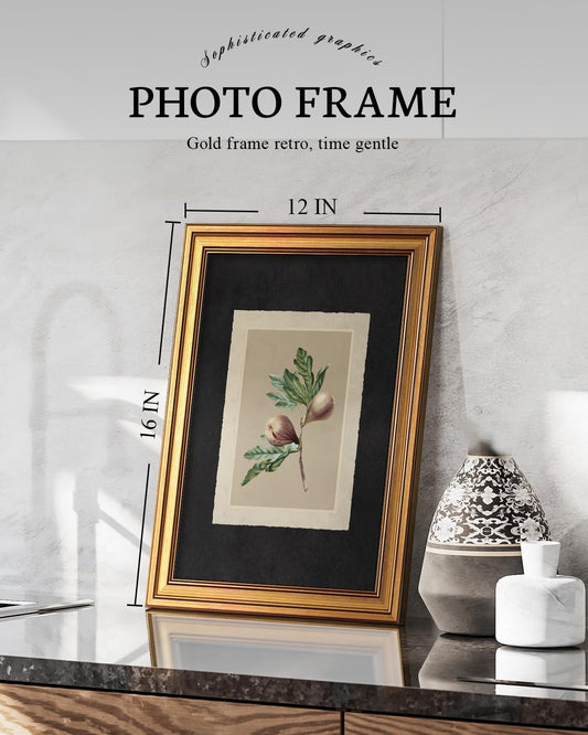 VIYYIEA Vintage Botanical Sketch Rustic Farmhouse Wall Art Decor for Living Room Bedroom Study, Aesthetic Classical Oak Tree Illustration Pictures,12x16inch,Gold Framed Canvas Prints Paintings