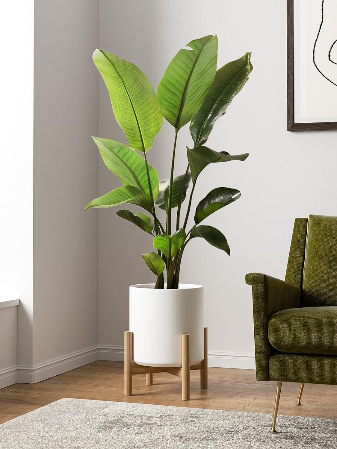 LE TAUCI 12 Inch Pot for Plants, Ceramic Planters for Indoor Plants, Mid-Century Modern Cylinder Flower Pots with Drainage Hole, Fits Fiddle Leaf Fig & Monstera, Home Decor, White