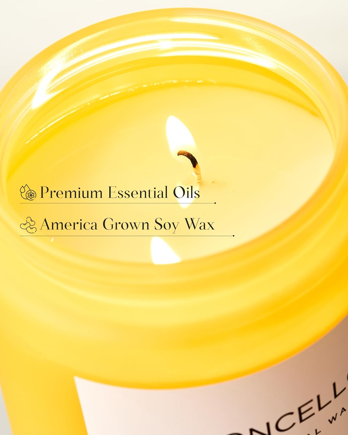 M&SENSE Eucalyptus & Mint Scented Jar Candle, Large 19.4oz Natural Soy Wax, 110-Hour Long Lasting Non-Toxic Clean Burning, Fresh Smelling Home Aromatherapy for Spa Stress Relief, Gifts for Men Women