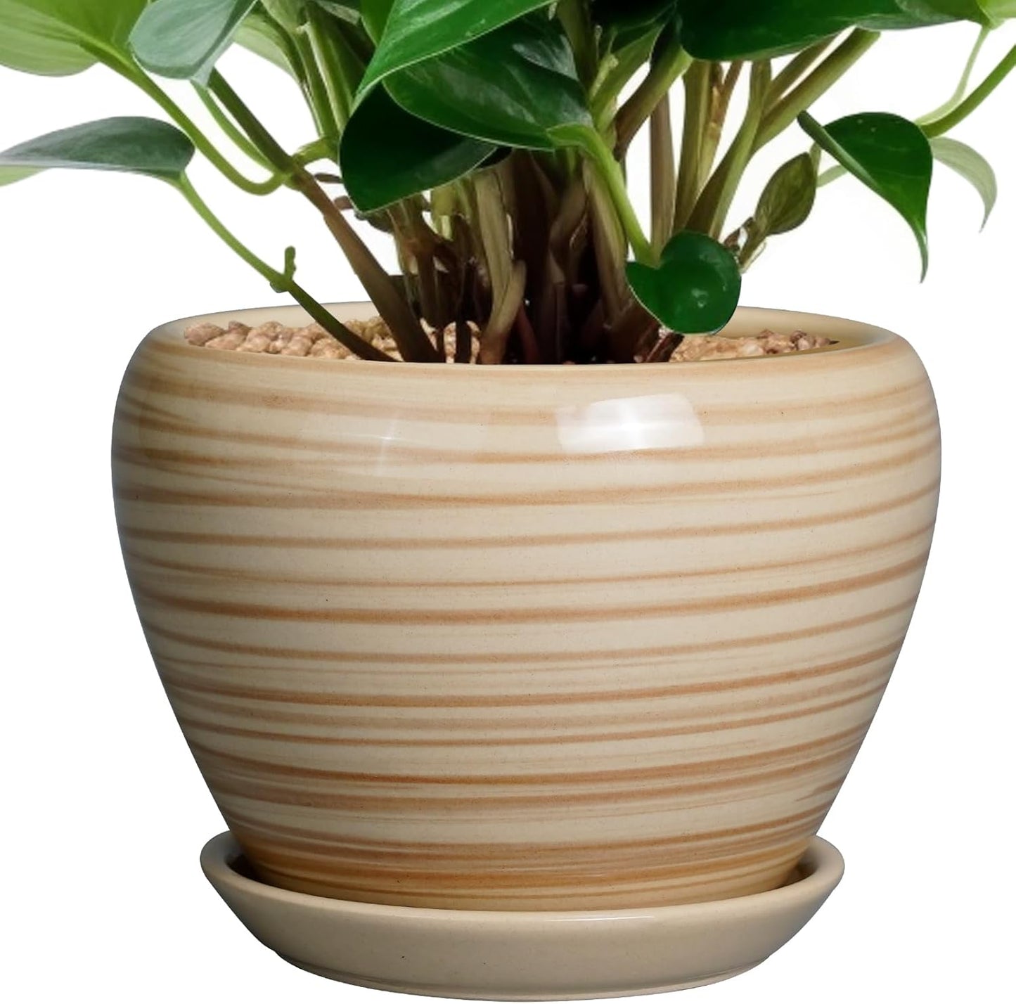 Ceramic Modern Glaze Succulent Planter Pot with Drainage Hole and Saucer 6 Inch Round Flower Plant Pot for Indoor Outdoor Herb Snake Plants