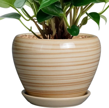 Ceramic Modern Glaze Succulent Planter Pot with Drainage Hole and Saucer 6 Inch Round Flower Plant Pot for Indoor Outdoor Herb Snake Plants