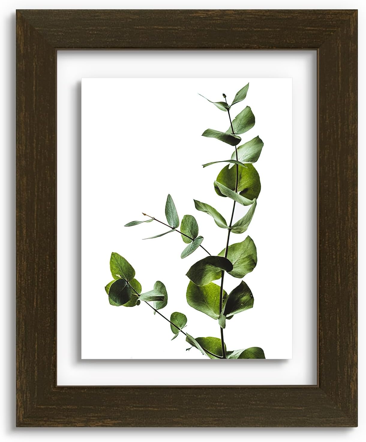 Golden State Art, 11X14 Floating Picture Frame, Black Wood Frame Display Any Size Photo Up To 11X14, Pressed Flower Frames with Hanging Hardware - Horizontal And Vertical Formats for Wall