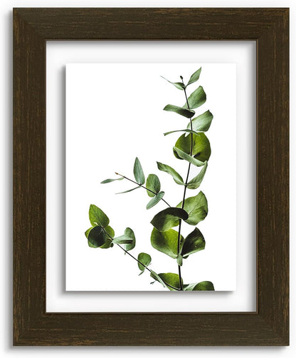 Golden State Art, 11X14 Floating Picture Frame, Black Wood Frame Display Any Size Photo Up To 11X14, Pressed Flower Frames with Hanging Hardware - Horizontal And Vertical Formats for Wall
