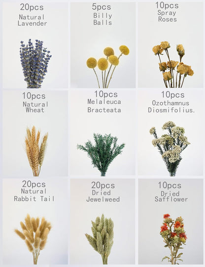DIY Natural Dried Flower Set, Bulk Dried Flowers for Vase, Dried Flowers with Stems, Dried Roses, Mini Dried Flower Bouquets.(Brown)