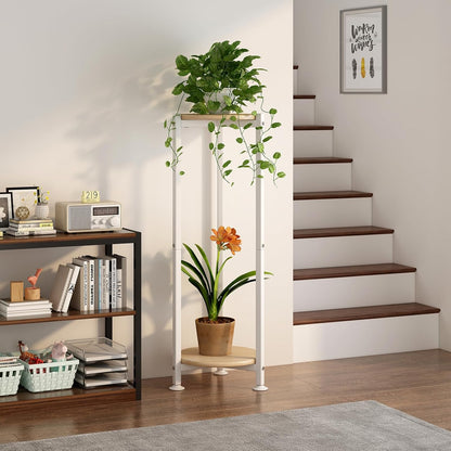 Plant Stand Indoor Corner Tall 2 Tier Metal Modern Flower Storage Plant Shelf Holder for Living Room Balcony Garden,Black (2 Tier-Black Round)
