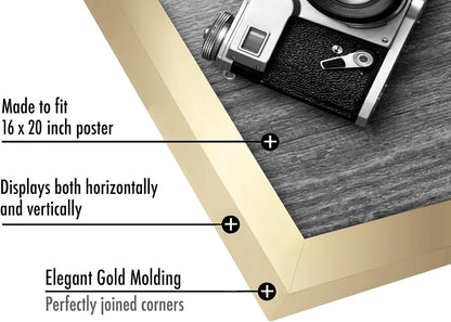 Americanflat 16x20 Picture Frame with Polished Plexiglass - Black Picture Frame - Wide Photo Frames Made of Engineered Wood for Vertical or Horizontal Wall Display - Epic Collection - Black - Colors B