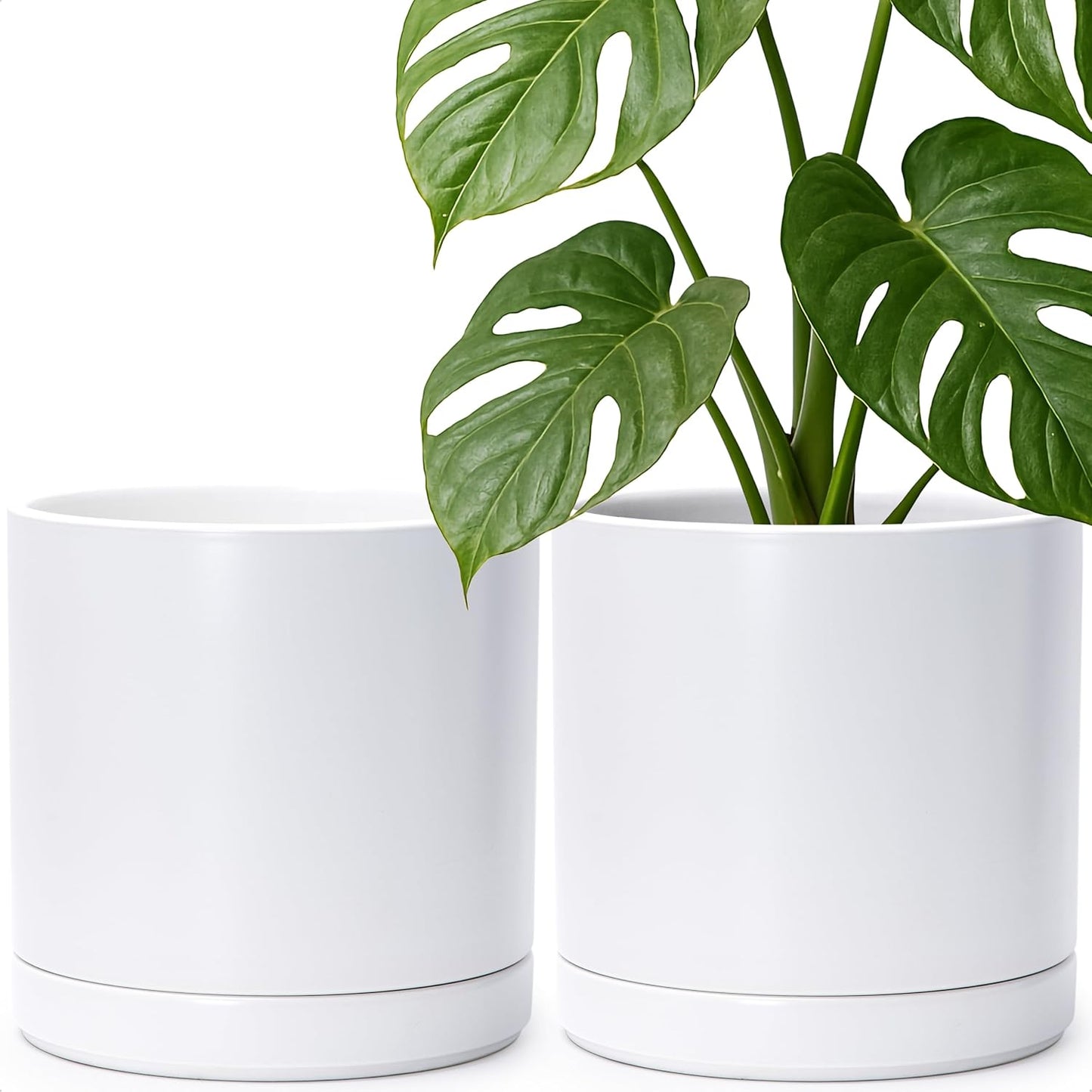 D'vine Dev Set of 2 Plants Pots, 6.5 Inch Ceramic Planter Pot for Plants with Drainage Hole and Saucer, White, 94-V-C-1