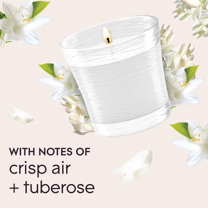 Glade 1-Wick Scented Candle Jar, Angel Whispers, Air Freshener Infused with Essential Oils, 4.08 Oz, 2 Count