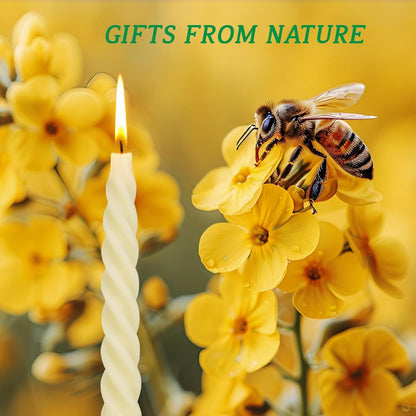 5 Inch Spirat Tapared Candles 10 Pack,0.78" Diameter Ivory Naturel Bee Candles Candlestick,7 Hours Long Lasting Smokeless and Unscented for Home Decoration