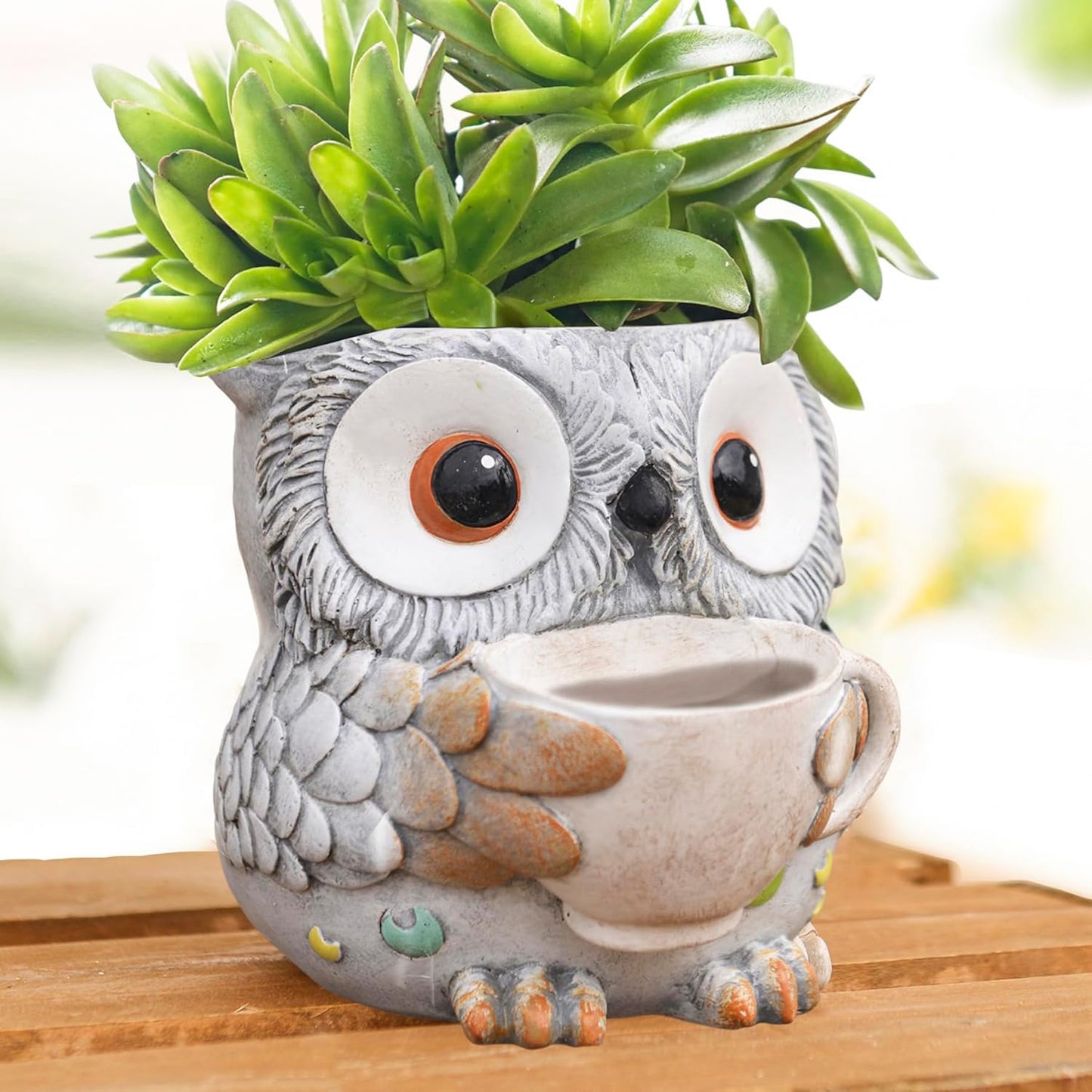 Saysmile Unique Owl Plant Pots Indoor, Cute Small Succulent Pots with Drainage Hole, Rocking Chair Planters for Outdoor Indoor Plants, Resin Flower Pot for String of Pearls, Gift Ideas for Mother