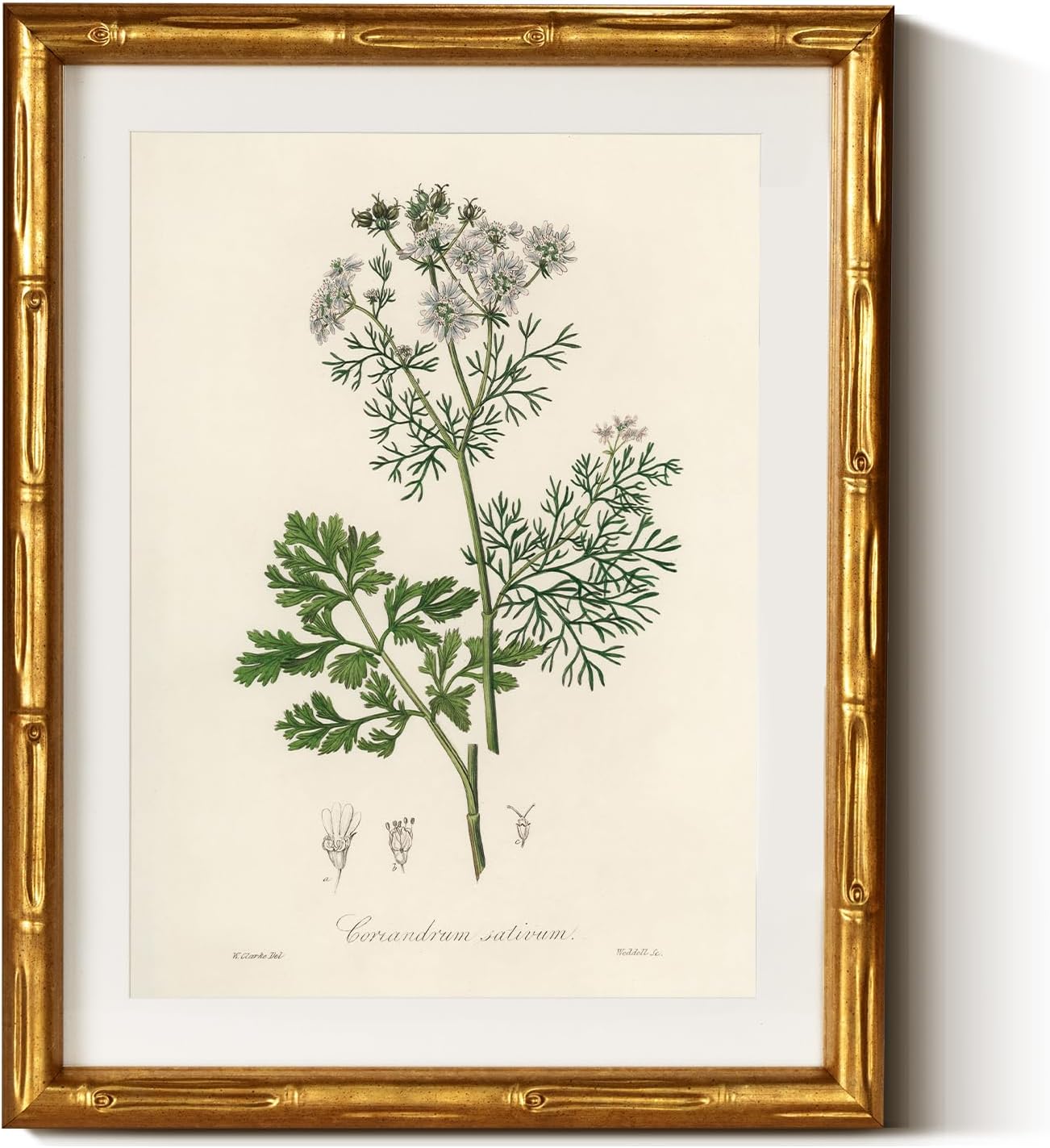 InSimSea Gold Bamboo Framed Canvas Wall Art, Retro Blue Hydrangea Botanical Prints, Antique Flowers Picture Frame with Mat, Victorian Home Wall Decor for Kitchen Living Room Bedroom, 11x14inch