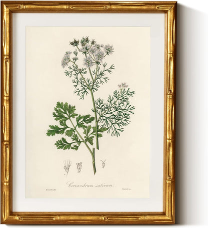 InSimSea Gold Bamboo Framed Canvas Wall Art, Retro Blue Hydrangea Botanical Prints, Antique Flowers Picture Frame with Mat, Victorian Home Wall Decor for Kitchen Living Room Bedroom, 11x14inch