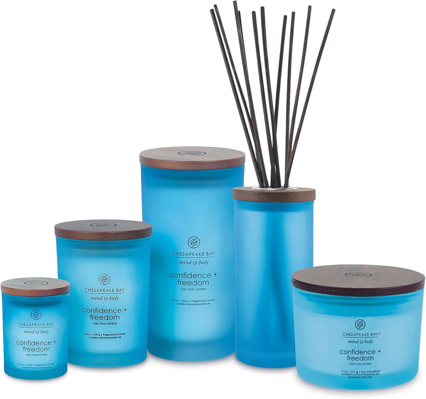 Chesapeake Bay Candle PT40886 Scented Candle Awaken + Invigorate (Lemongrass Eucalyptus) Medium Green Home Décor