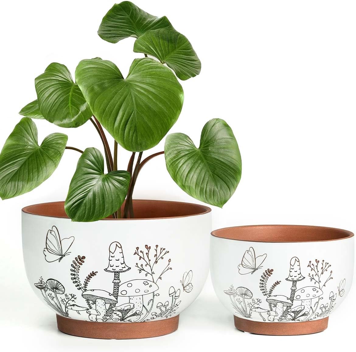 YBX 8 Inch + 6 Inch Ceramic Plant Pots, Succulent Flower Pots with Drainage Holes, Terracotta Planters for Indoor Plants, White&Terracotta (Garden)