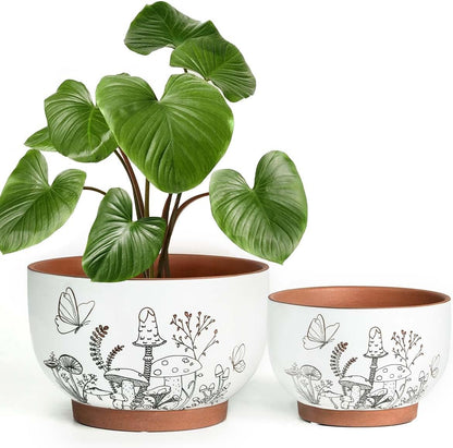 YBX 8 Inch + 6 Inch Ceramic Plant Pots, Succulent Flower Pots with Drainage Holes, Terracotta Planters for Indoor Plants, White&Terracotta (Garden)