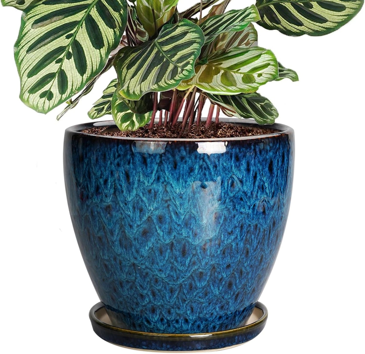10 Inch Ceramic Planter Pot Round Plant Pot for Indoor Plants Outdoor Large Flower Pot with Drainage Hole and Saucer Blue