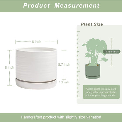 HERDUK 6 Inch Plant Pots, Ceramic Planter Pot with Drainage Hole & Saucer, Indoor/Outdoor Cylinder Round Planter Pot, Green & Beige