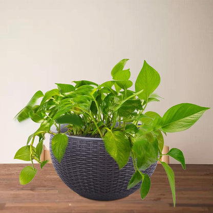 Vencer 11 Inch Round Resin Rattan Hanging Planters,Self Watering Hanging Basket for Indoor Outdoor Plants,Hanging Flower Pots with Drain Hole and Metal Chain,Water Indicator,Coffee,VF-A15-C