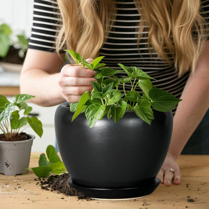 Ceramic Modern Glaze Succulent Planter Pot with Drainage Hole and Saucer 6 Inch Round Flower Plant Pot for Indoor Outdoor Herb Snake Plants