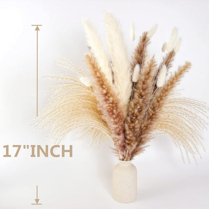 65PCS Pampas Grass Decor, Including pompas Floral, Reed Dried Grass and Bunny Tails Dried Flowers, Natural Dried Pampas Grass Bouquet for Boho Decor Wedding, Home Decoration