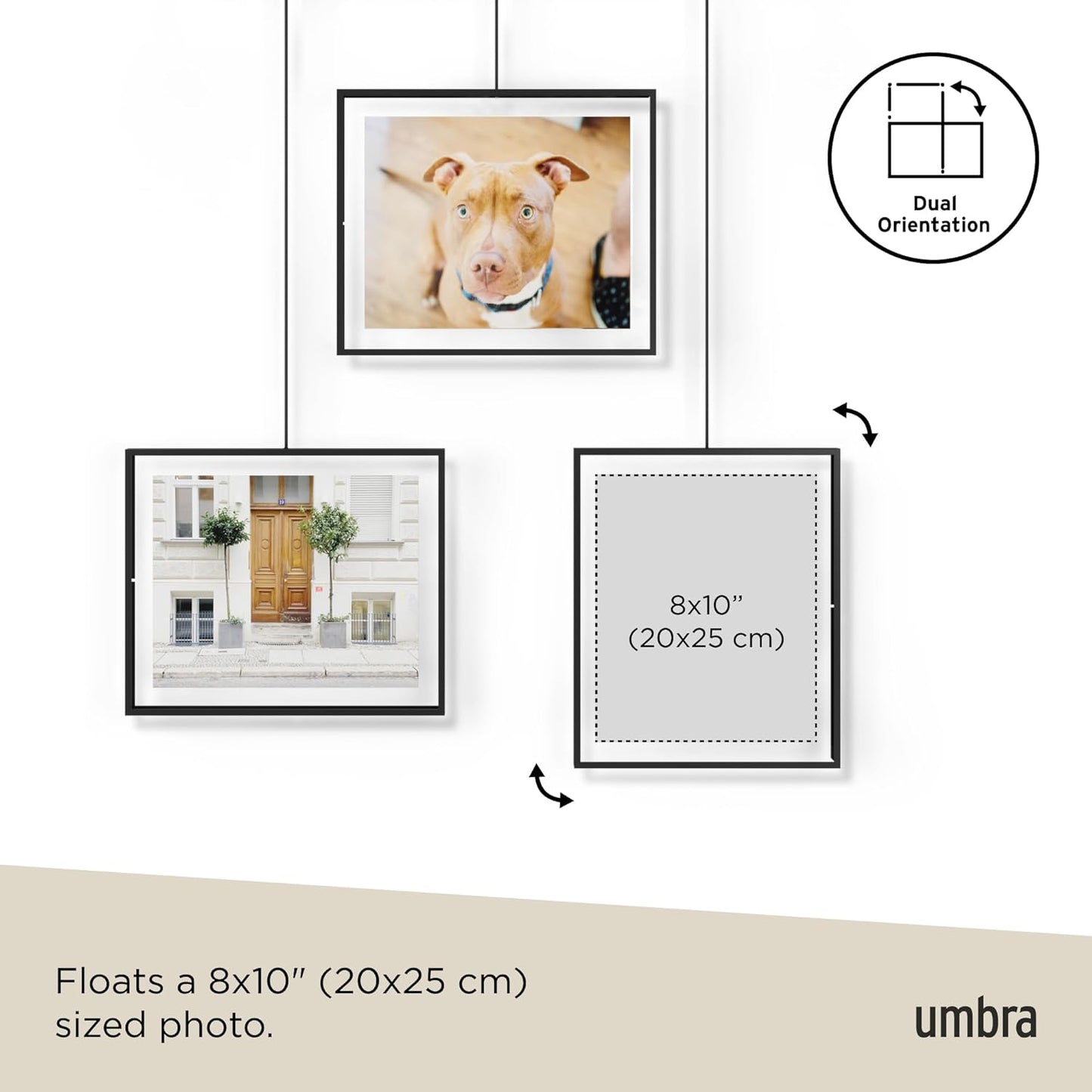 Umbra Exhibit Picture Frame Gallery Set, Adjustable Wall Collage Displays Nine Photos (Four 5x7" and Five 8x10"), Set of 9, Black