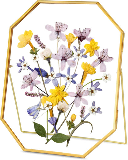 REDHUGO Glass Pressed Flower Frame Handmade, Metal Floating Picture Frame, Double Glass for Tabletop Display, Unique Brass Octagon, Gold, 5x7 Inches (Frame Only)