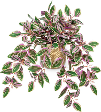 Briful Artificial Plants Indoor Fake Potted Silk Plants Faux Watermelon Peperomia Draping Plant for Home Office Bathroom Shelf Cabinet Tabletop Decoration(Green - 1 Pack)