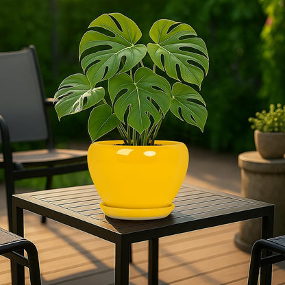 Deep Dream 6 Inch Plant Pots- Ceramic Planter Pot with Drainage Hole and Saucer, Round Flower Pot for Indoor Outdoor Succulent, Snake Plants and Cactus, Blue