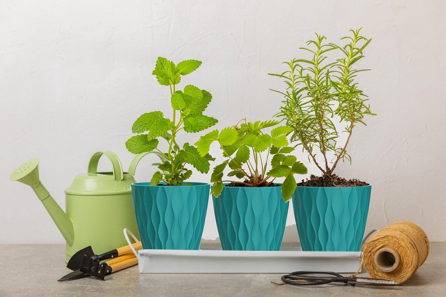 4 Inch Plant Pots, 6 Pack Indoor Flower Pots, Planters with Drainage Holes and Trays for Orchids, Violets, Succulents, Herbs, and Other Plants,Corolful