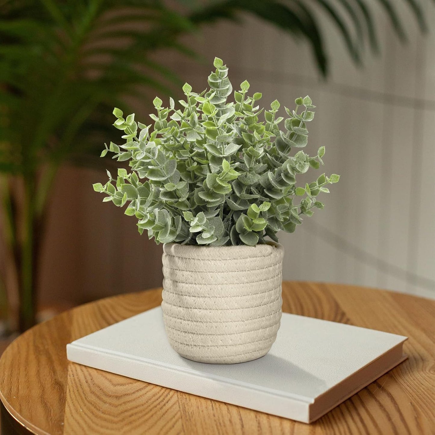 Hopewood Faux Plants, Small Fake Plant for Bathroom, Decorative Artificial Plants for Farmhouse Desk Shelf Decor with A Weave Basket (9.8inch)