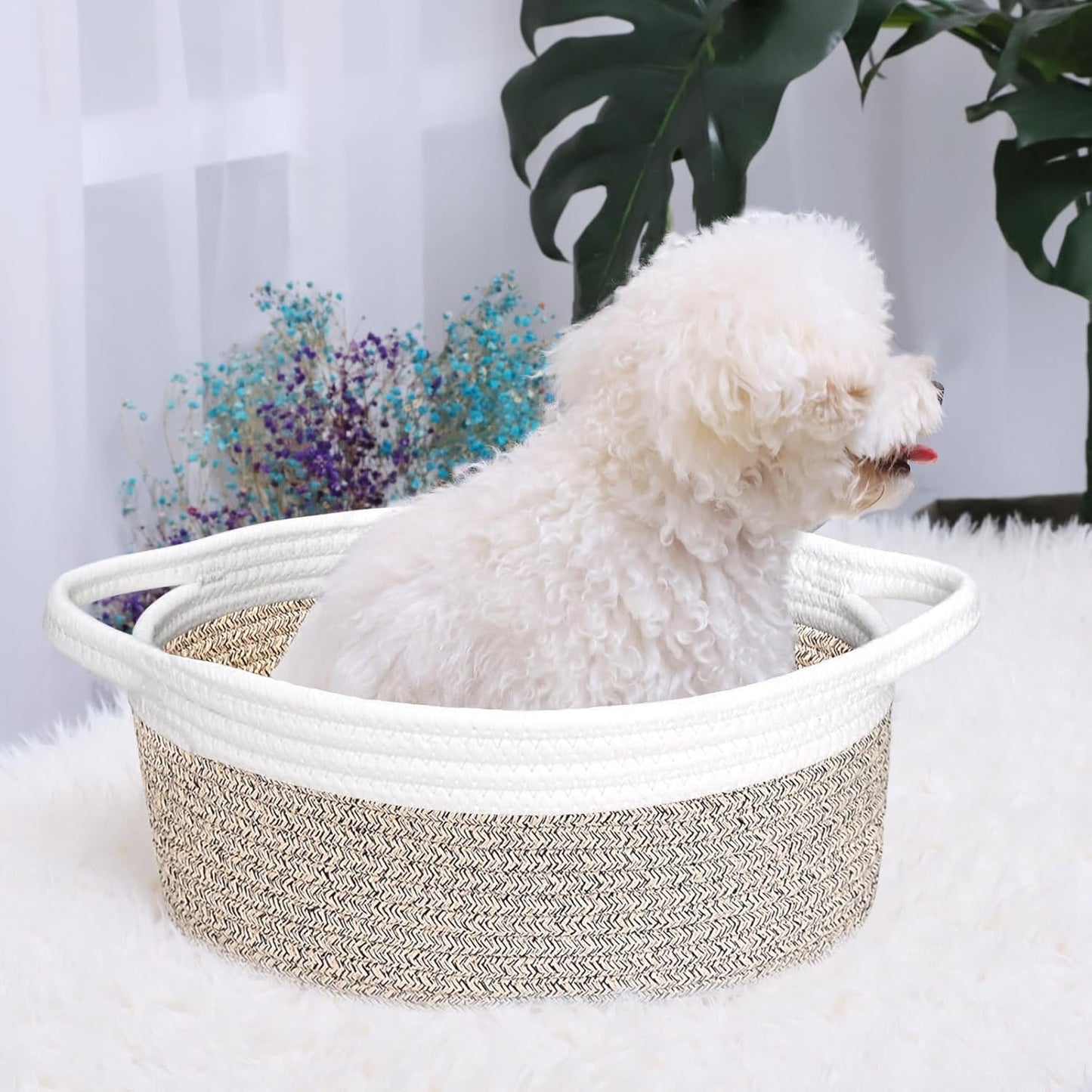 ABenkle Small Basket with Handles, Boho Decorative Rope Woven Dog Cat Toy Storage Bin Shelf Storage Organizer, Easter Christmas Gift Basket, 12"x8"x5", White