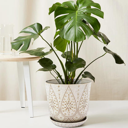 Gepege 6 Inch Beaded Ceramic Planter Set of 2 with Drainage Hole and Saucer for Plants, Indoor-Outdoor Large Round Succulent Orchid Flower Pot (Smoked Gray, Inner-pots not Larger Than 5 Inch)